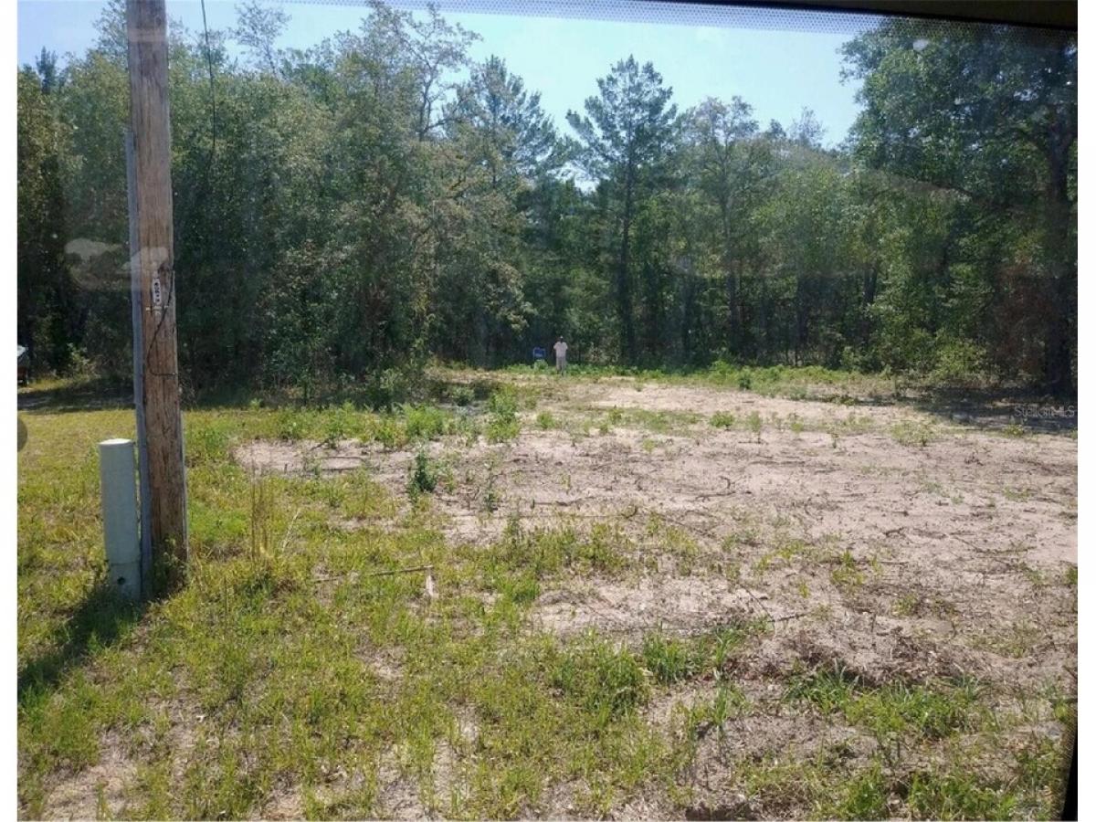 Picture of Residential Land For Sale in Lady Lake, Florida, United States