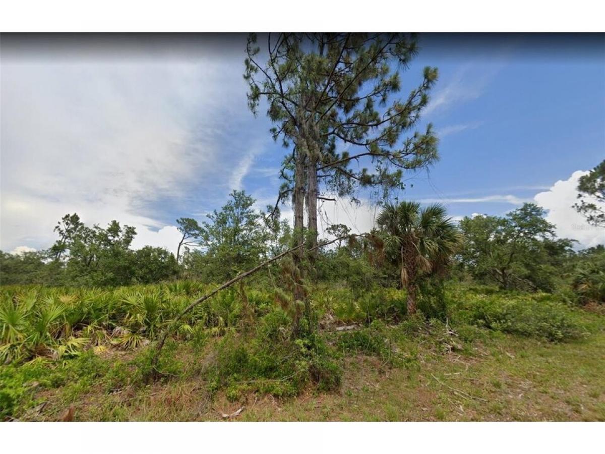 Picture of Residential Land For Sale in Port Charlotte, Florida, United States