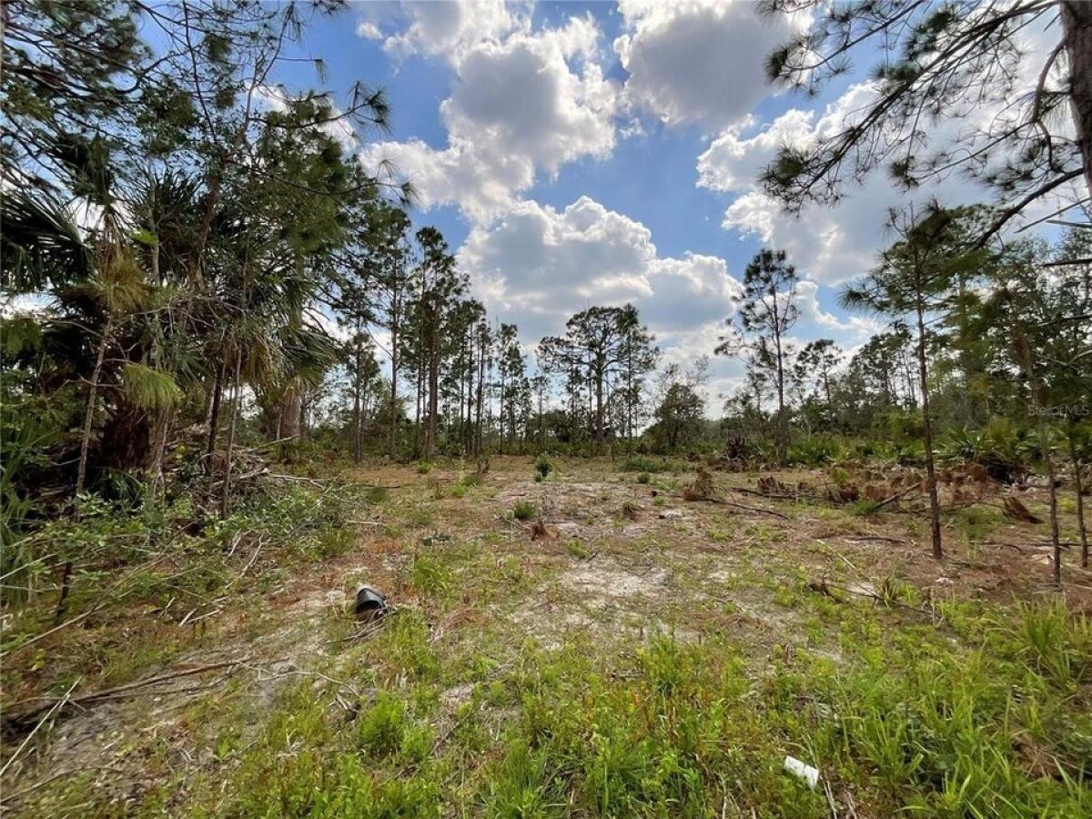 Picture of Residential Land For Sale in Port Charlotte, Florida, United States