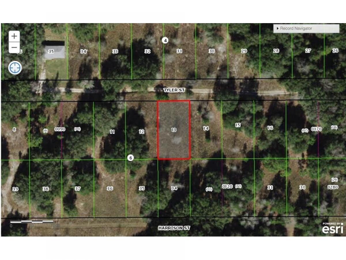 Picture of Residential Land For Sale in Inverness, Florida, United States