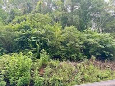 Residential Land For Sale in Cosby, Tennessee