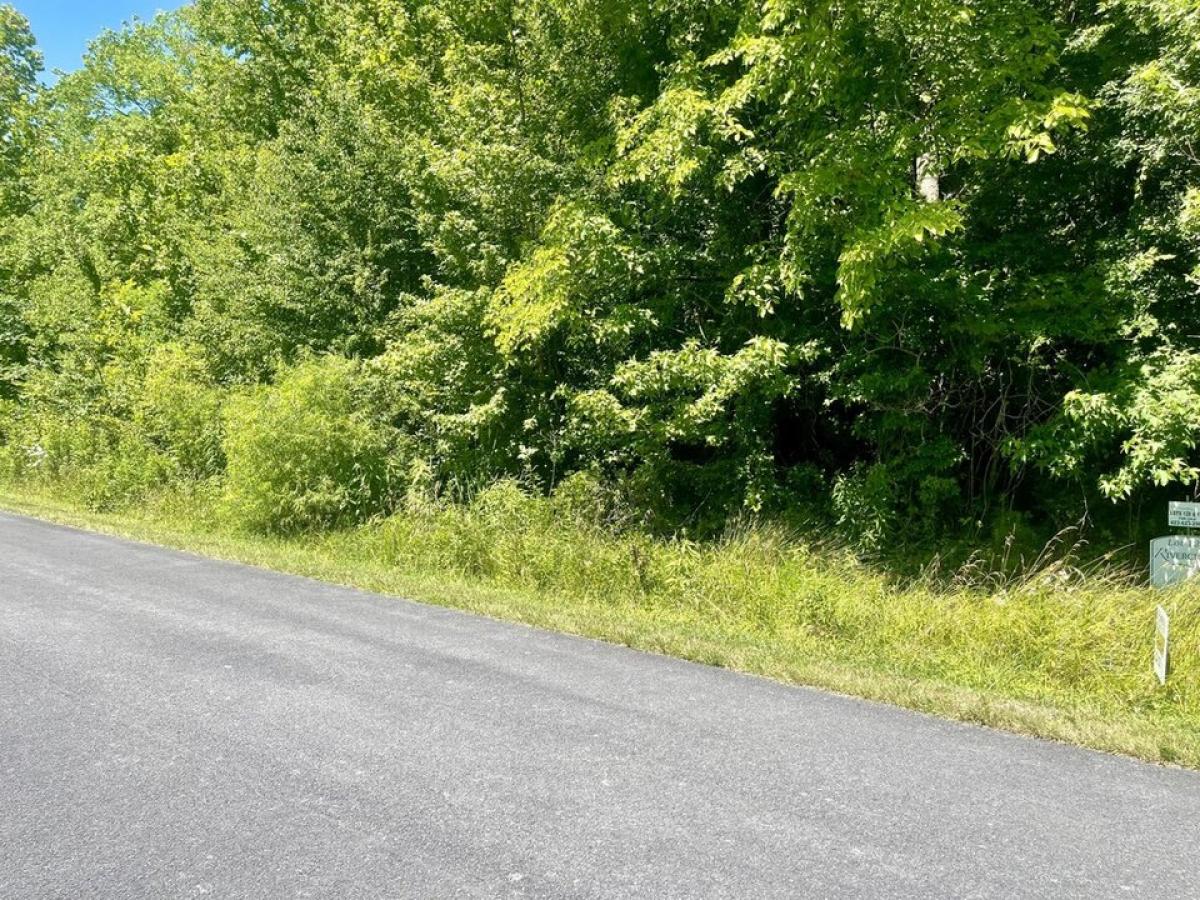 Picture of Residential Land For Sale in Del Rio, Tennessee, United States