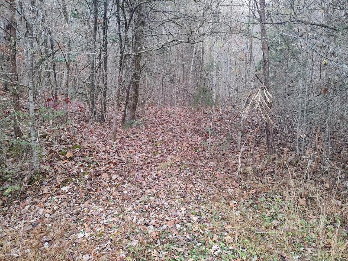 Picture of Residential Land For Sale in Cosby, Tennessee, United States