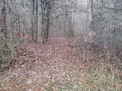 Residential Land For Sale in Cosby, Tennessee