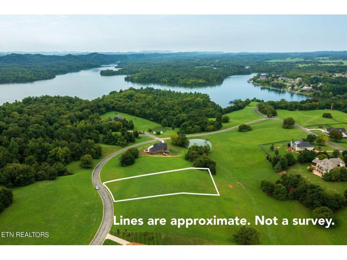 Picture of Residential Land For Sale in Vonore, Tennessee, United States