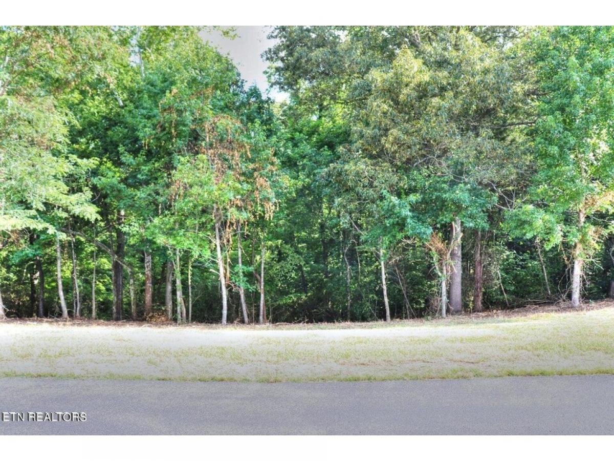 Picture of Residential Land For Sale in Rockwood, Tennessee, United States