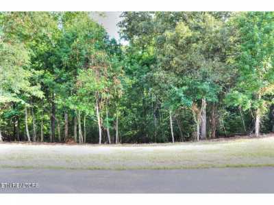 Residential Land For Sale in Rockwood, Tennessee