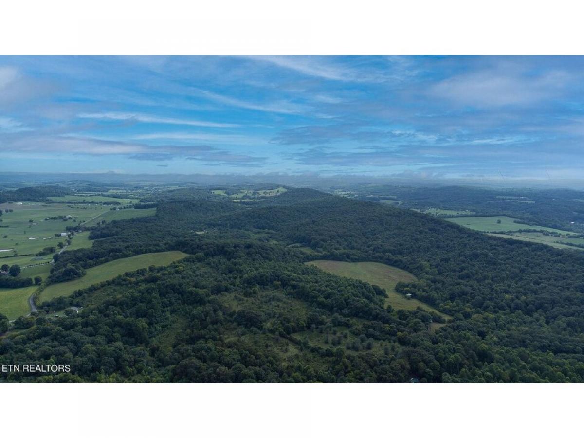 Picture of Residential Land For Sale in Loudon, Tennessee, United States