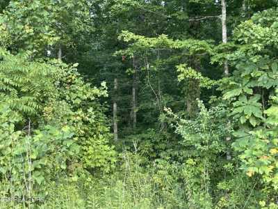 Residential Land For Sale in Spring City, Tennessee