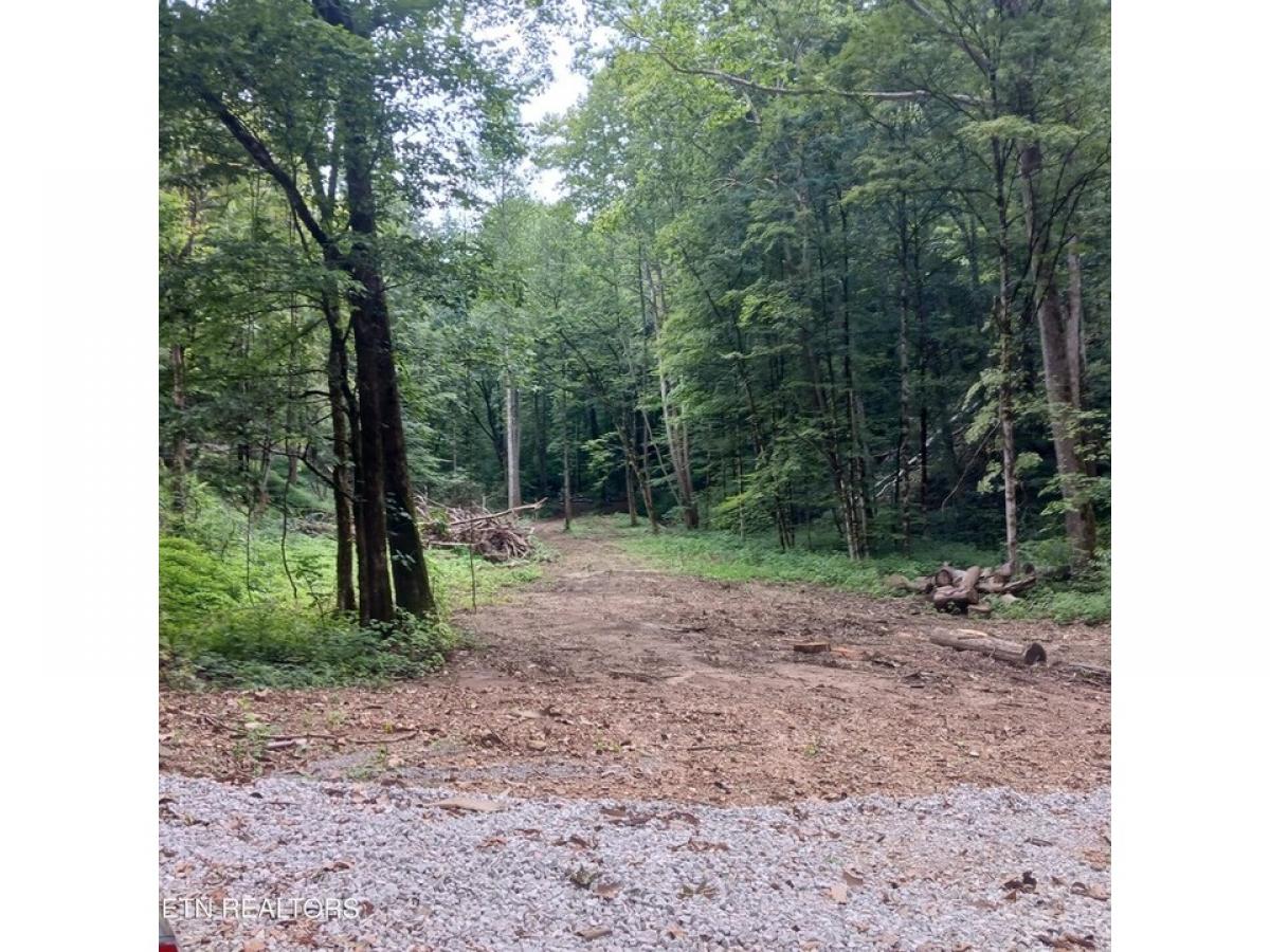 Picture of Residential Land For Sale in New Tazewell, Tennessee, United States