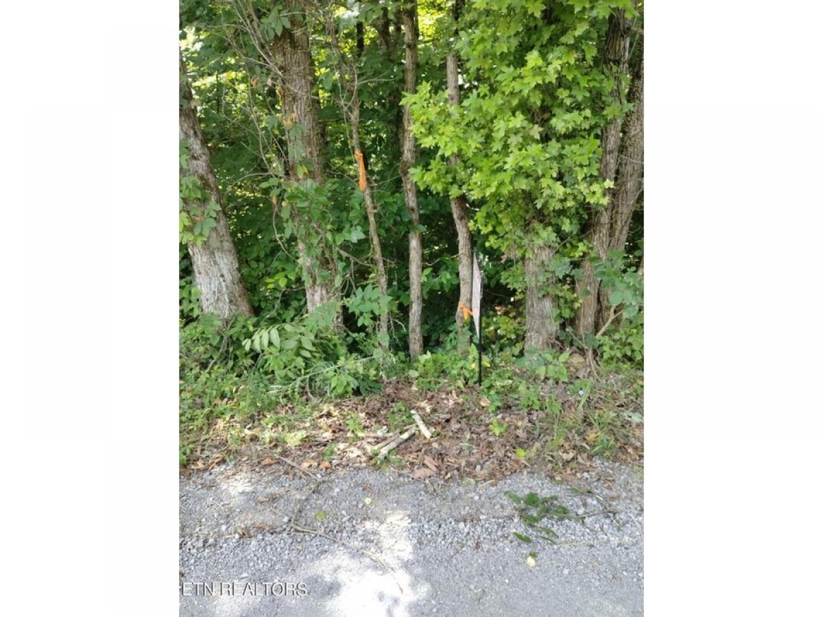 Picture of Residential Land For Sale in Rogersville, Tennessee, United States