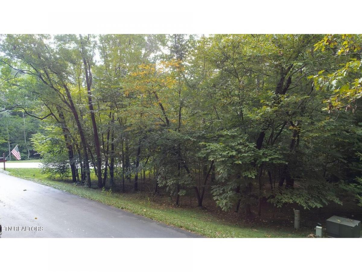 Picture of Residential Land For Sale in Loudon, Tennessee, United States