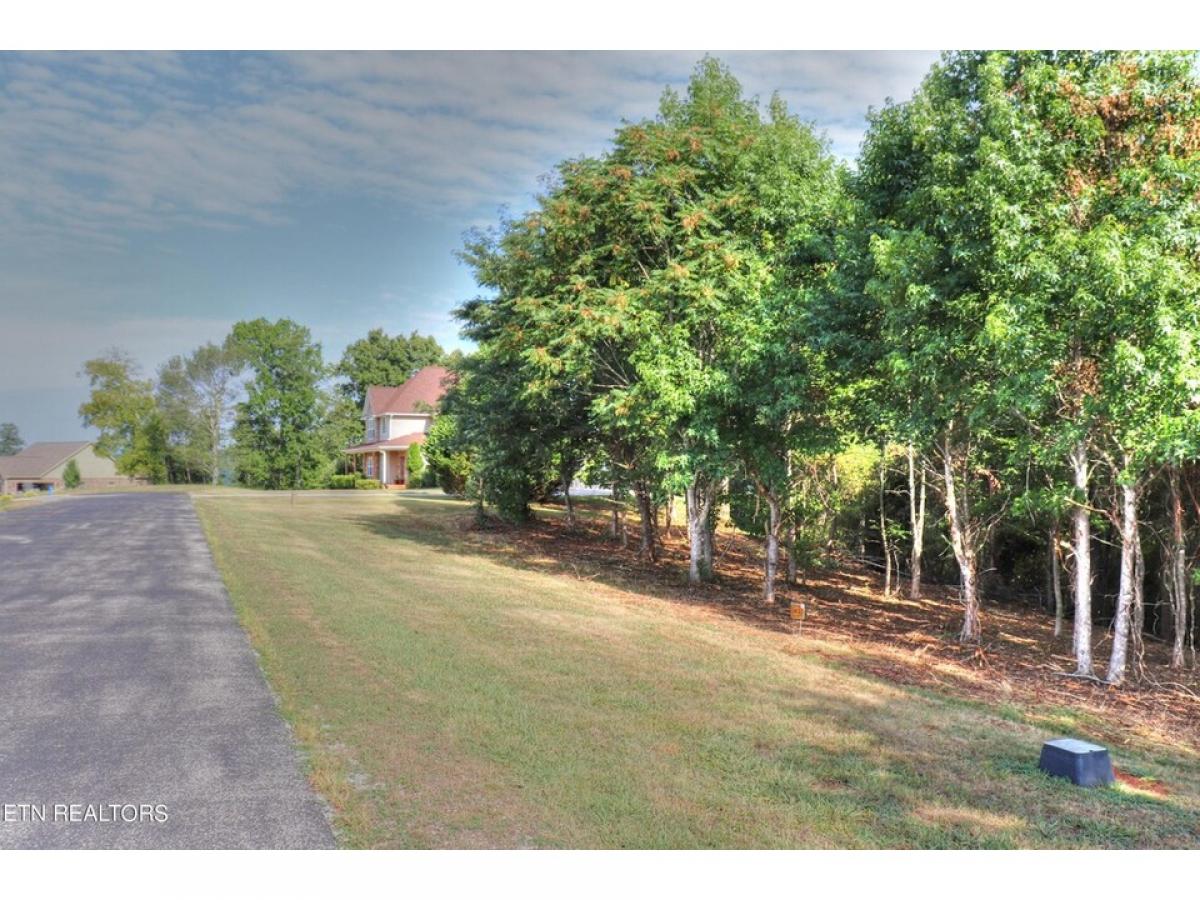 Picture of Residential Land For Sale in Rockwood, Tennessee, United States