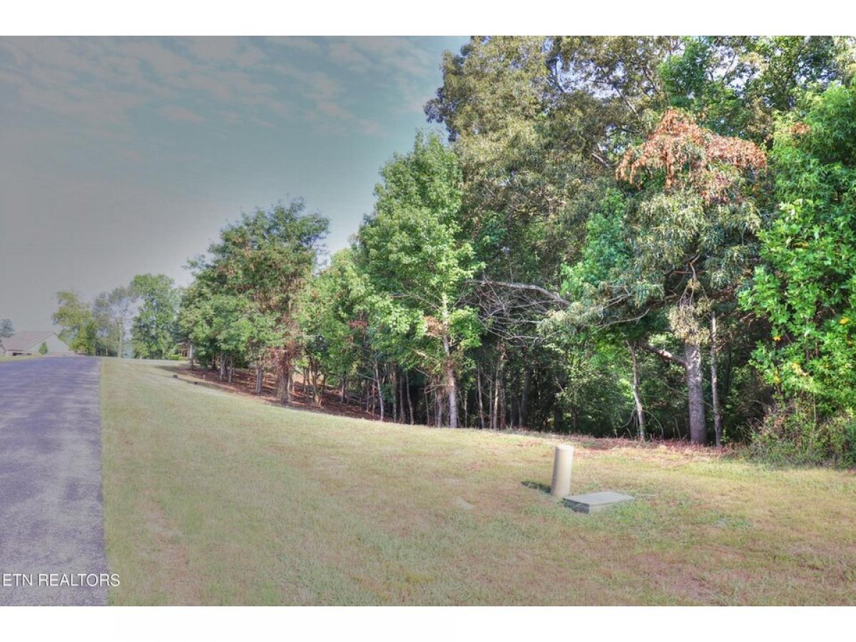 Picture of Residential Land For Sale in Rockwood, Tennessee, United States