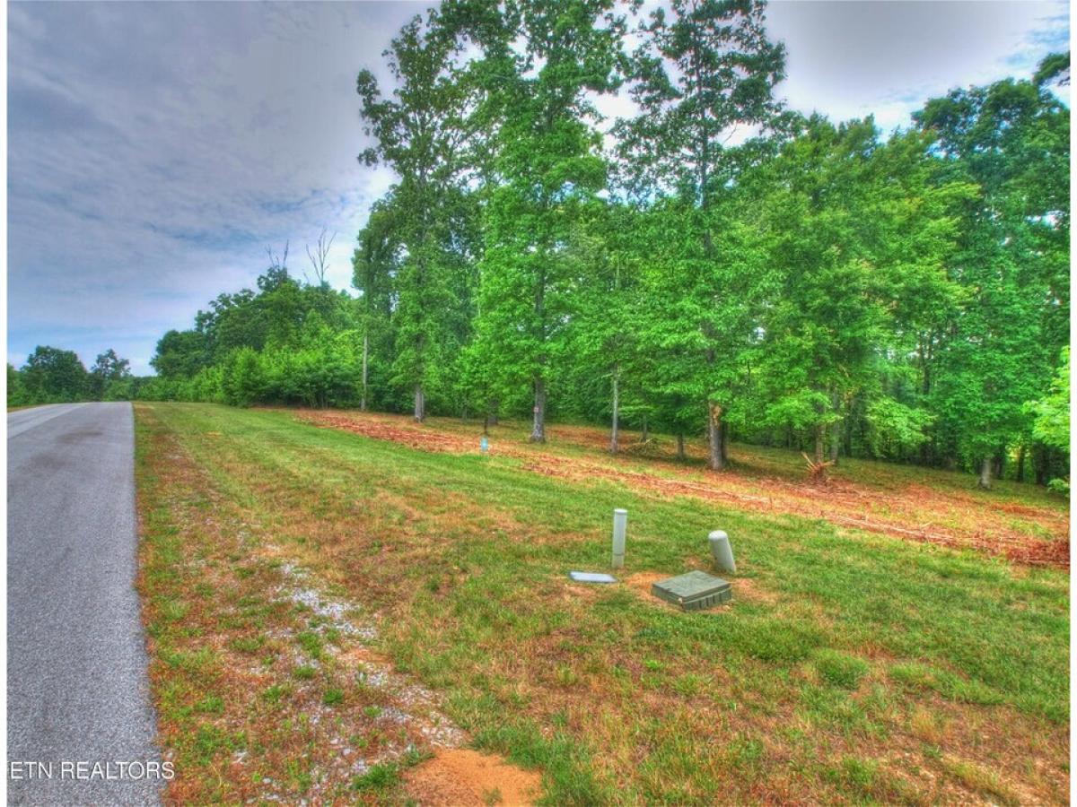 Picture of Residential Land For Sale in Rockwood, Tennessee, United States