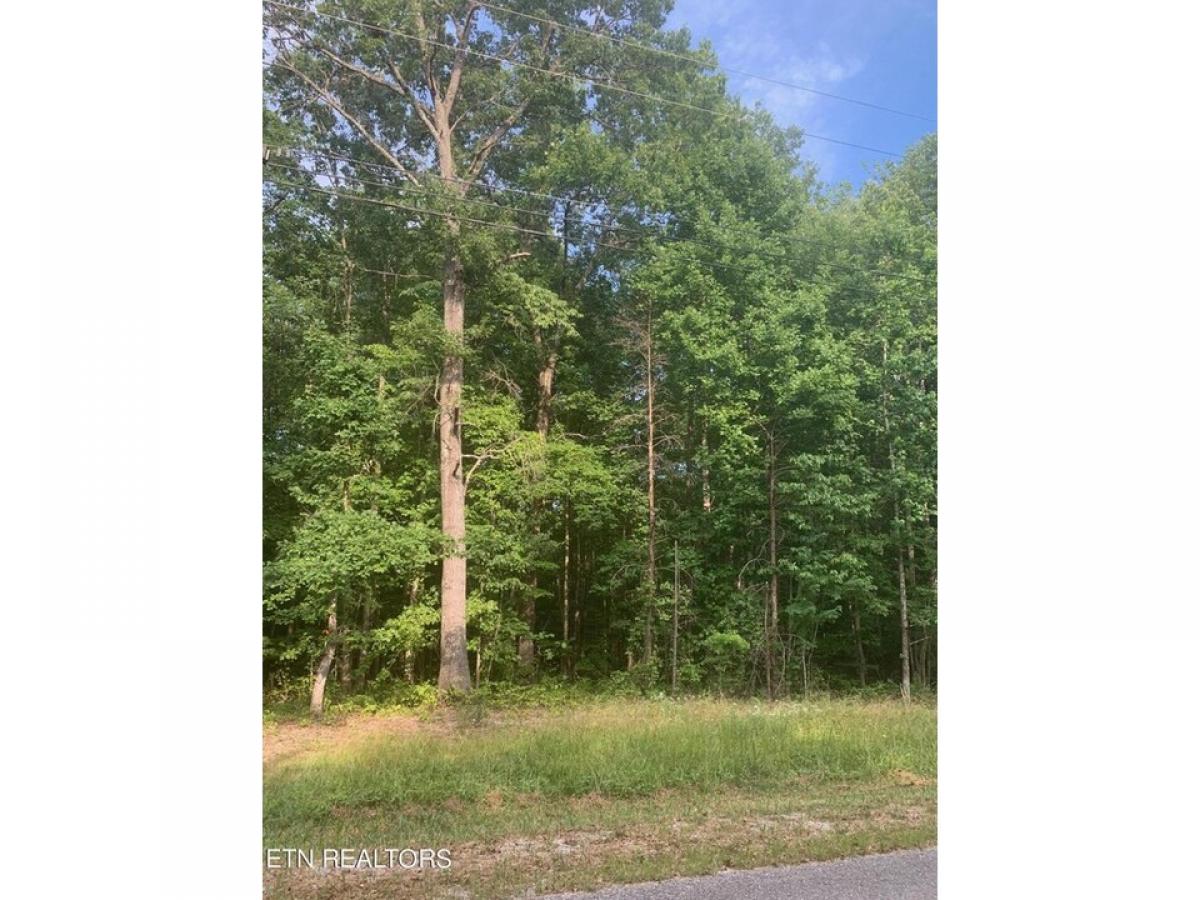 Picture of Residential Land For Sale in Monterey, Tennessee, United States