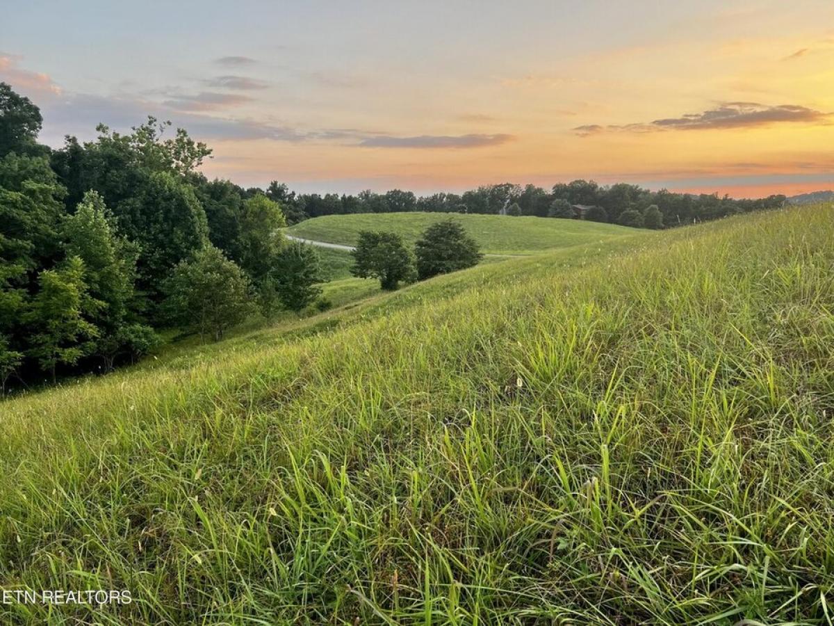 Picture of Residential Land For Sale in New Tazewell, Tennessee, United States