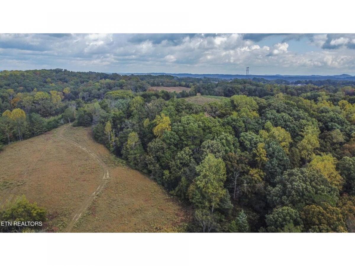 Picture of Residential Land For Sale in Loudon, Tennessee, United States