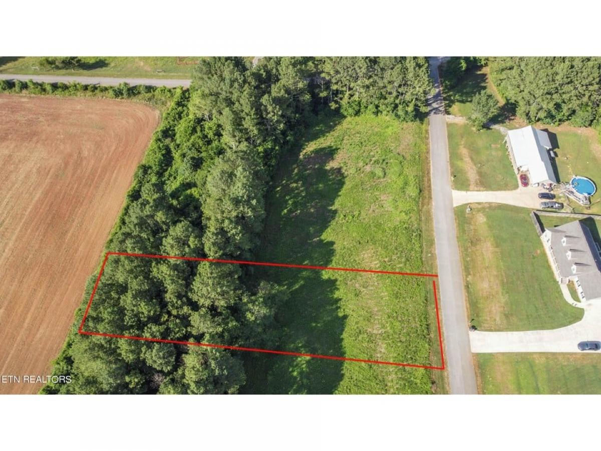 Picture of Residential Land For Sale in Sweetwater, Tennessee, United States