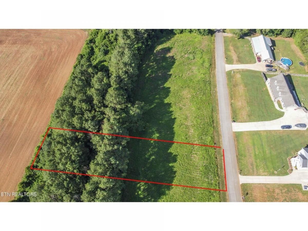 Picture of Residential Land For Sale in Sweetwater, Tennessee, United States