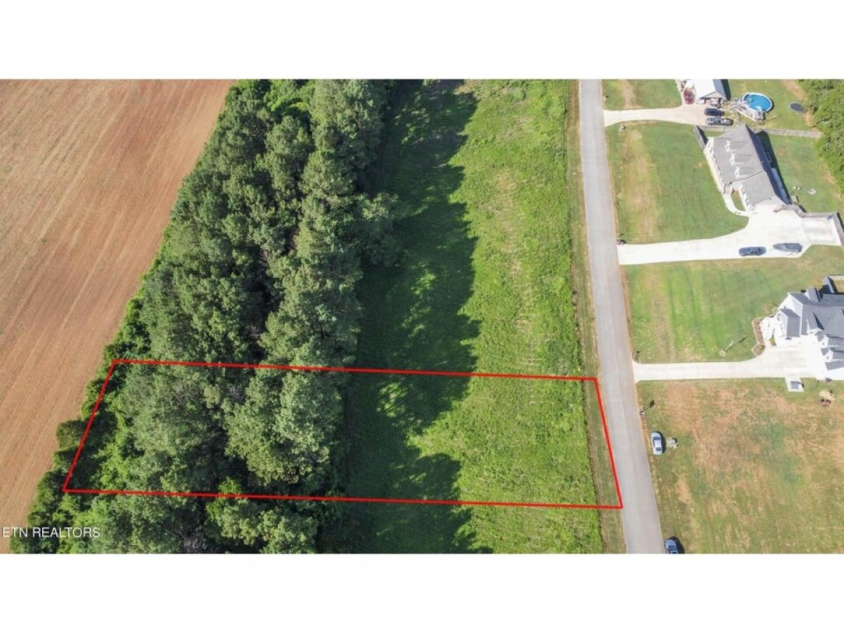 Picture of Residential Land For Sale in Sweetwater, Tennessee, United States