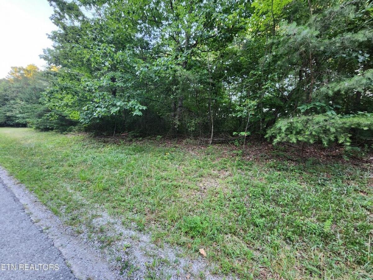 Picture of Residential Land For Sale in Monterey, Tennessee, United States