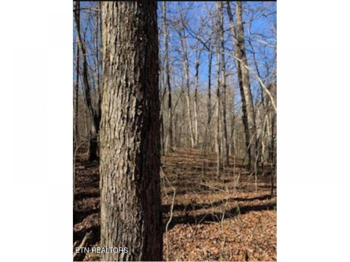 Picture of Residential Land For Sale in Monterey, Tennessee, United States