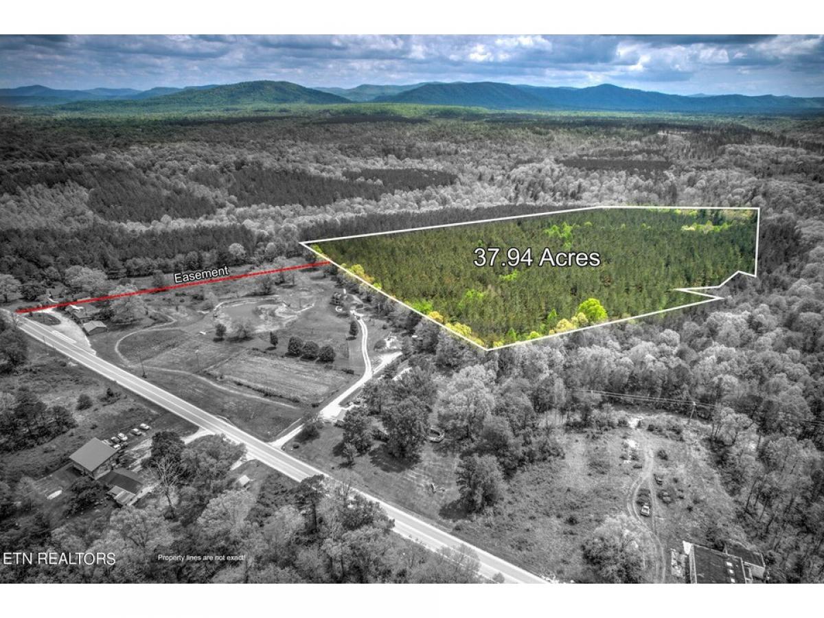 Picture of Residential Land For Sale in Sunbright, Tennessee, United States