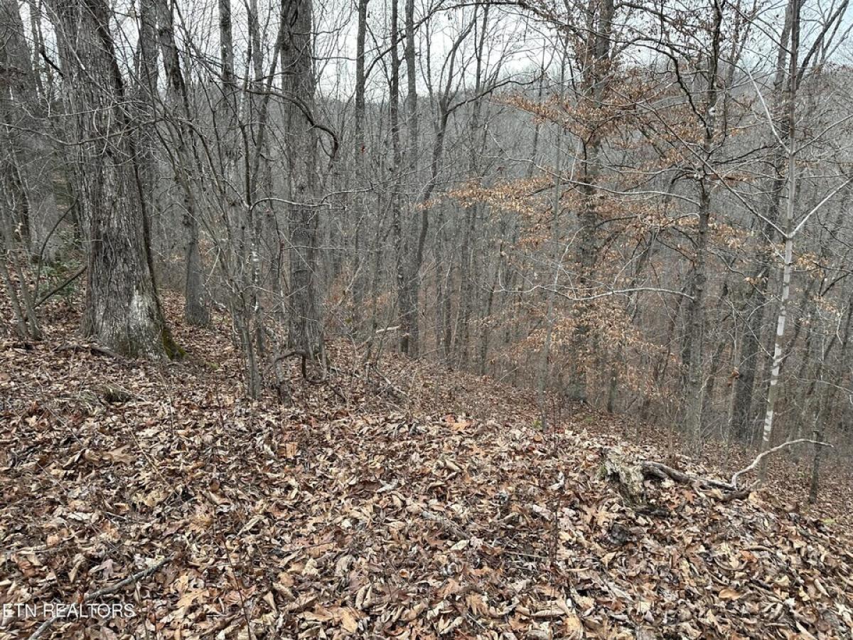 Picture of Residential Land For Sale in Crawford, Tennessee, United States