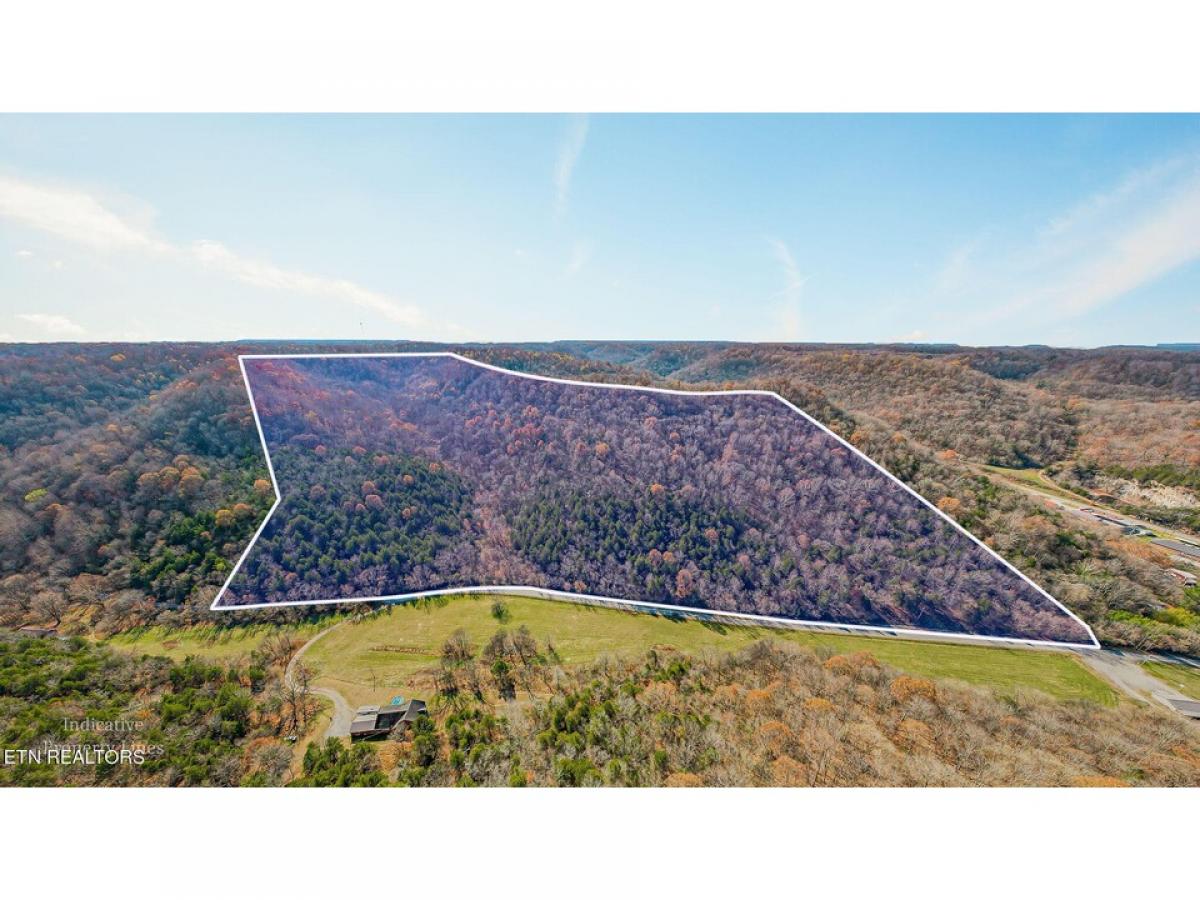 Picture of Residential Land For Sale in Gainesboro, Tennessee, United States