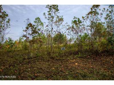 Residential Land For Sale in Allardt, Tennessee