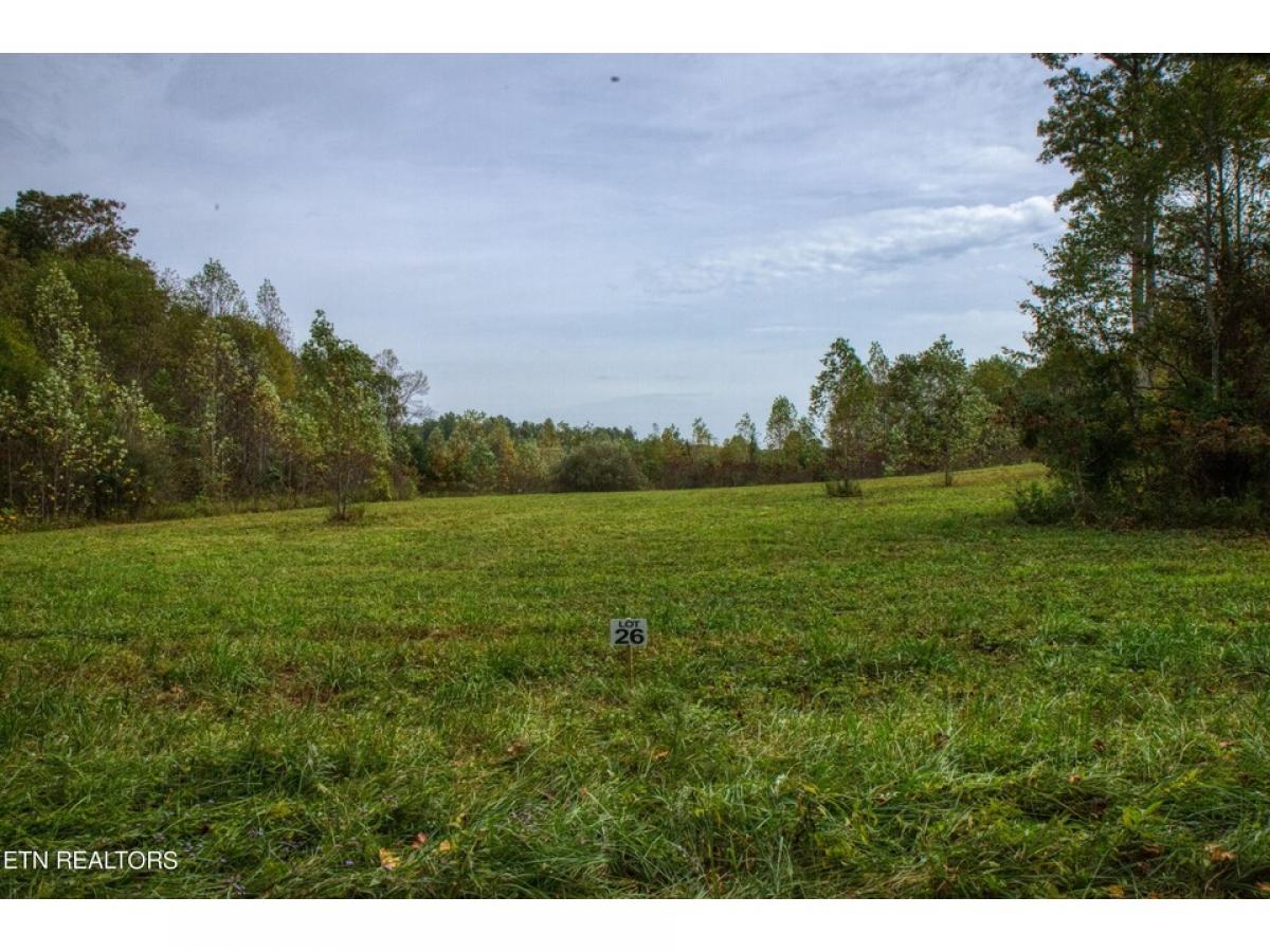 Picture of Residential Land For Sale in Allardt, Tennessee, United States