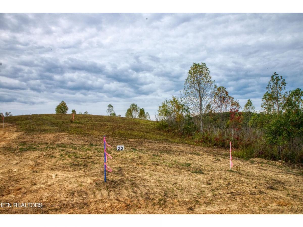 Picture of Residential Land For Sale in Allardt, Tennessee, United States