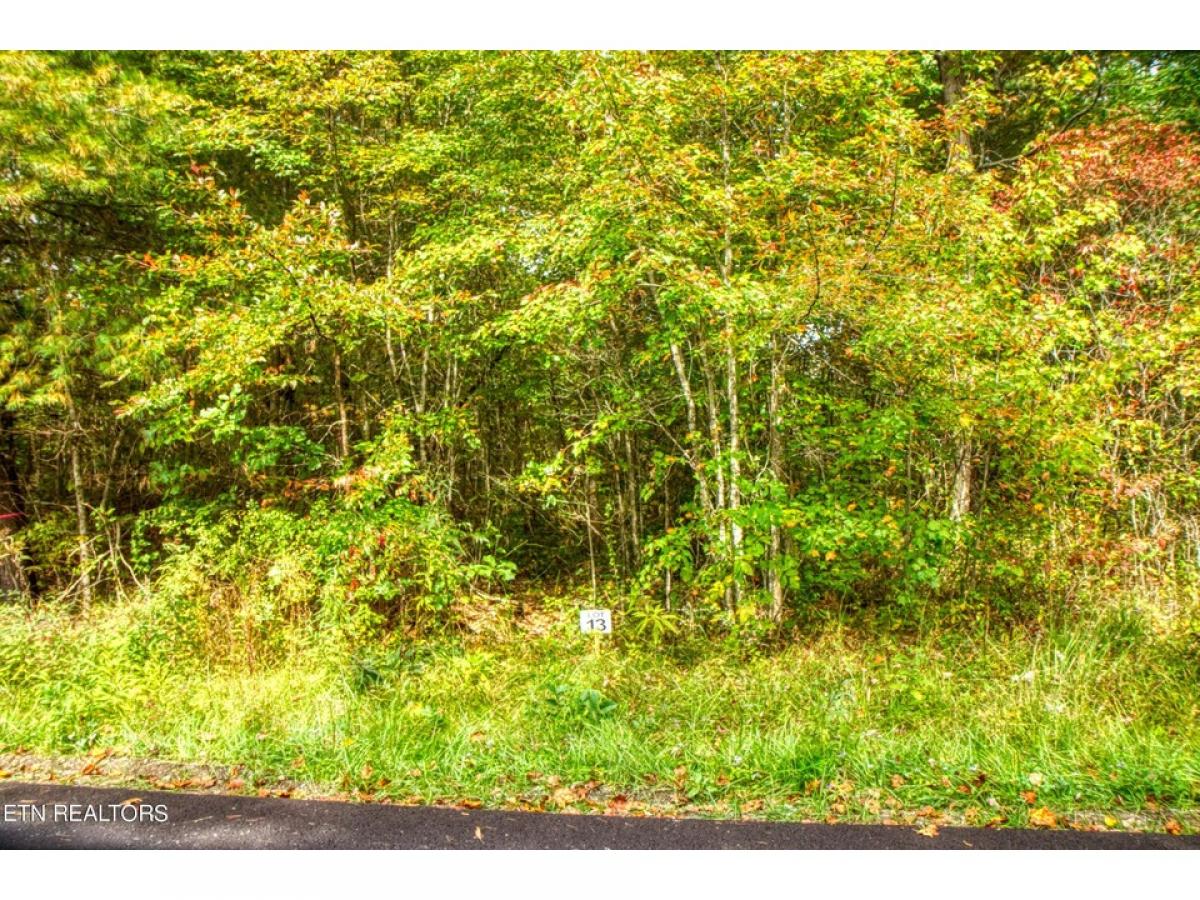 Picture of Residential Land For Sale in Allardt, Tennessee, United States