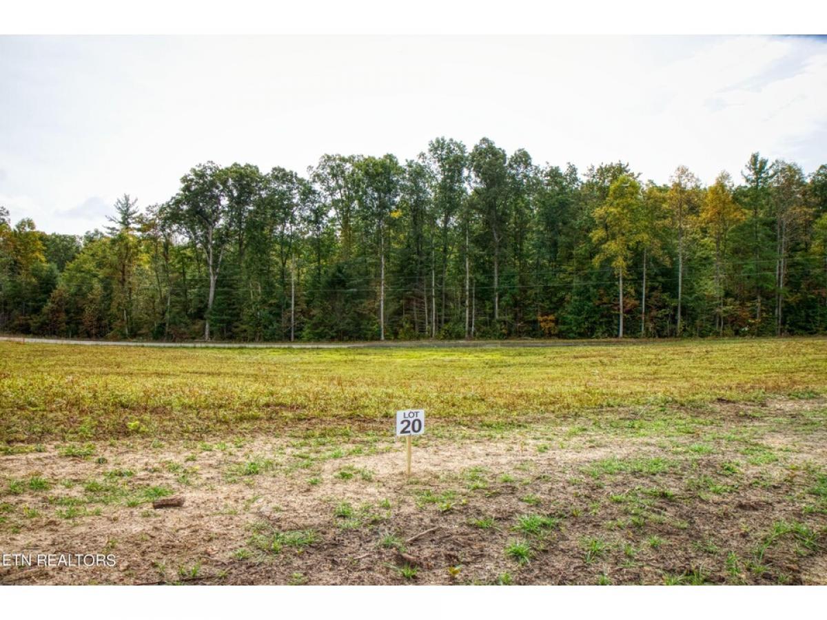 Picture of Residential Land For Sale in Allardt, Tennessee, United States