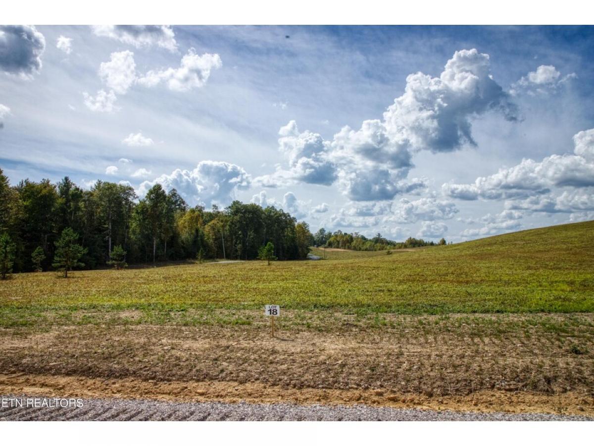 Picture of Residential Land For Sale in Allardt, Tennessee, United States