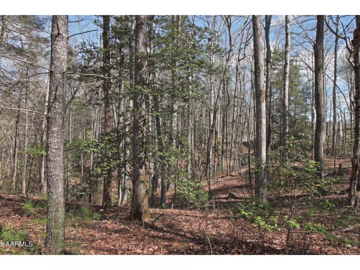 Picture of Residential Land For Sale in Allardt, Tennessee, United States