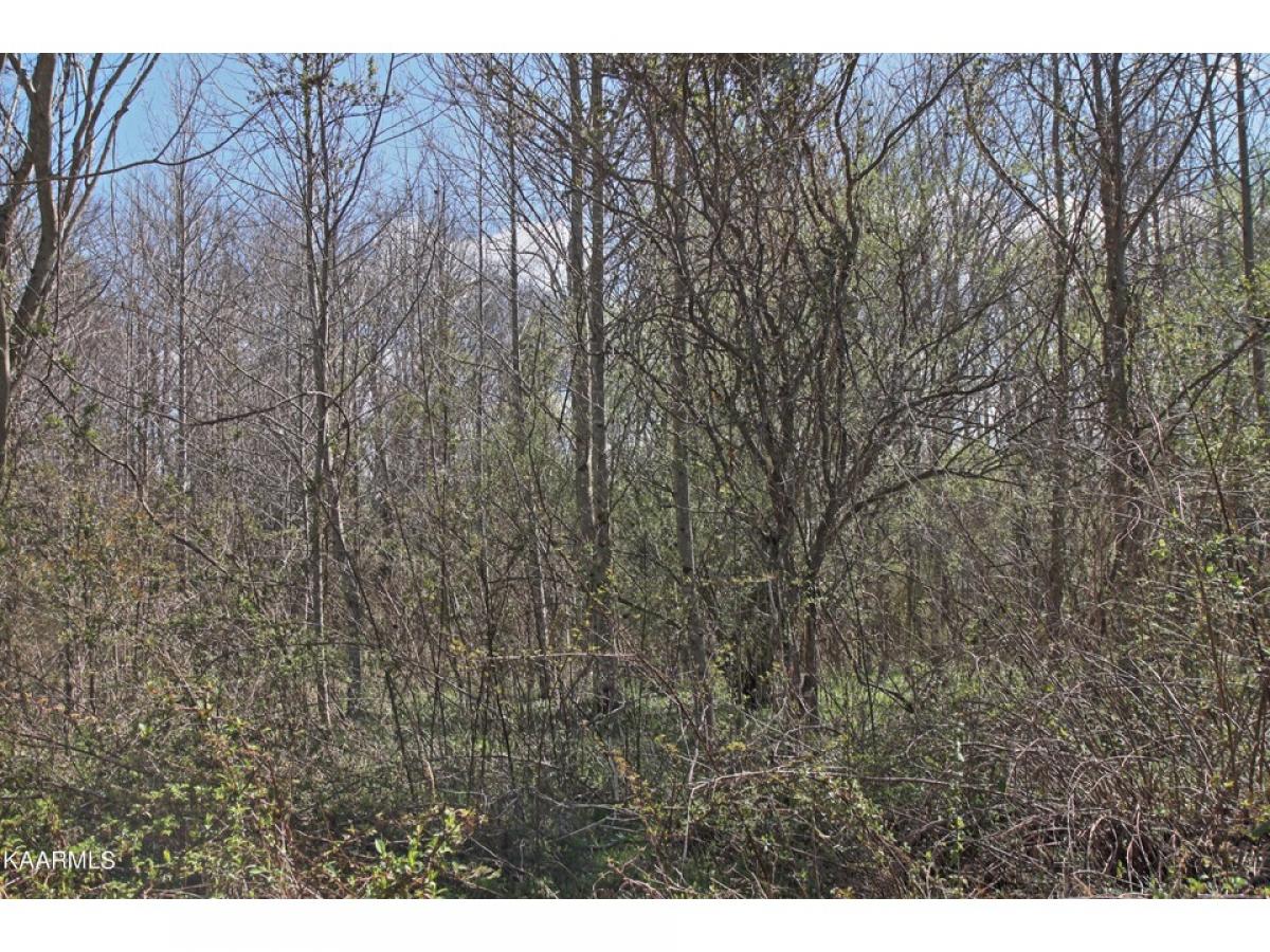 Picture of Residential Land For Sale in Allardt, Tennessee, United States