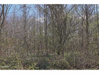 Residential Land For Sale in Allardt, Tennessee