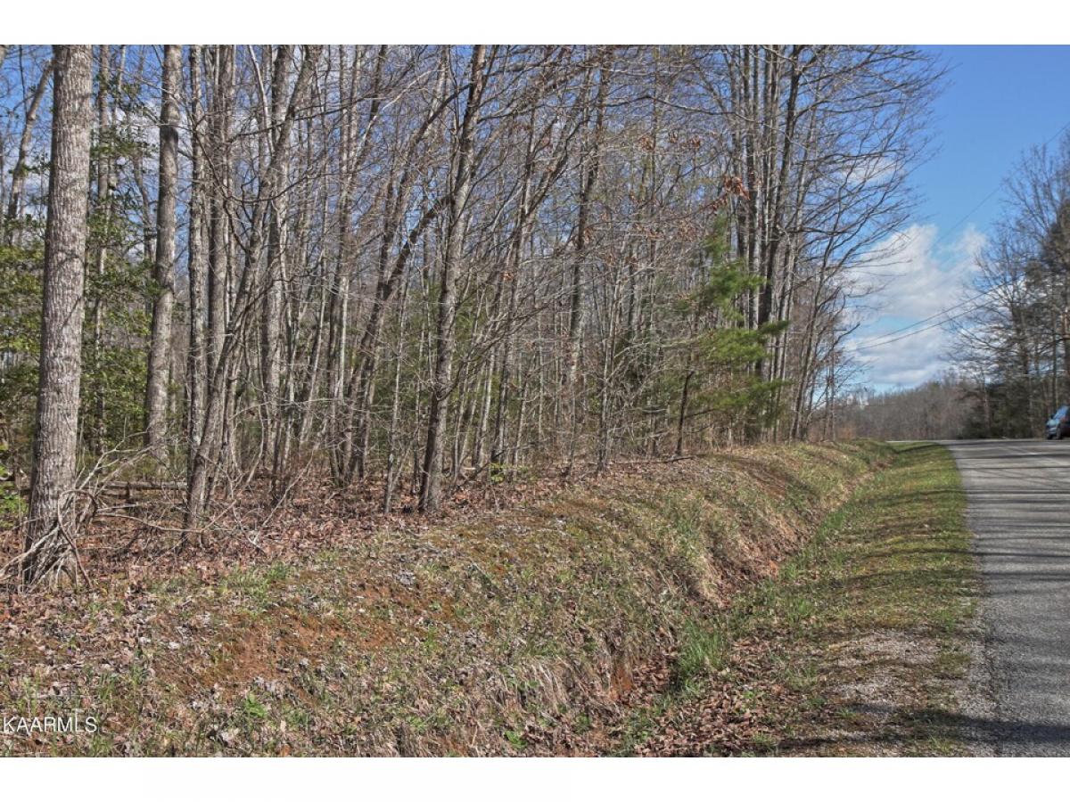 Picture of Residential Land For Sale in Allardt, Tennessee, United States