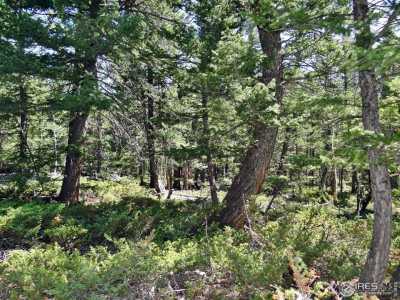 Residential Land For Sale in Red Feather Lakes, Colorado