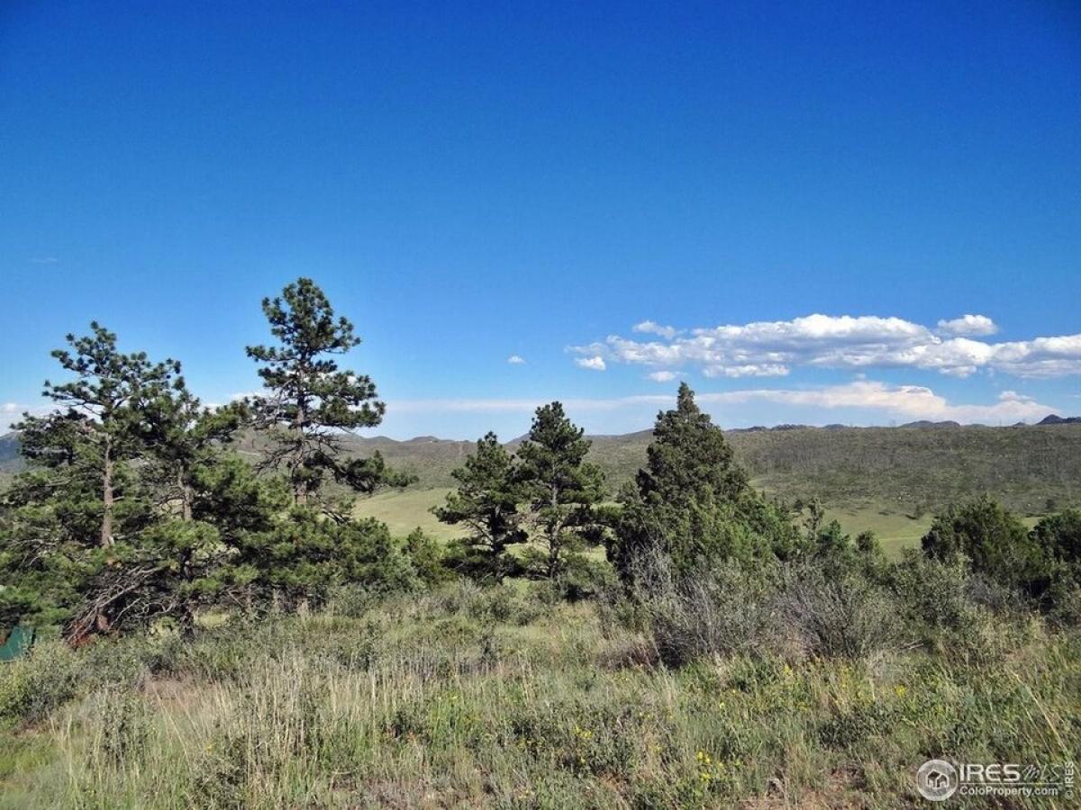 Picture of Residential Land For Sale in Livermore, Colorado, United States