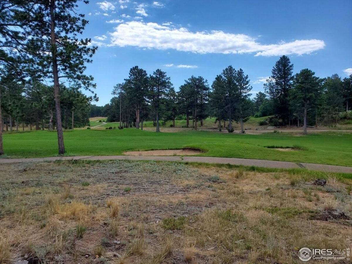 Picture of Residential Land For Sale in Red Feather Lakes, Colorado, United States