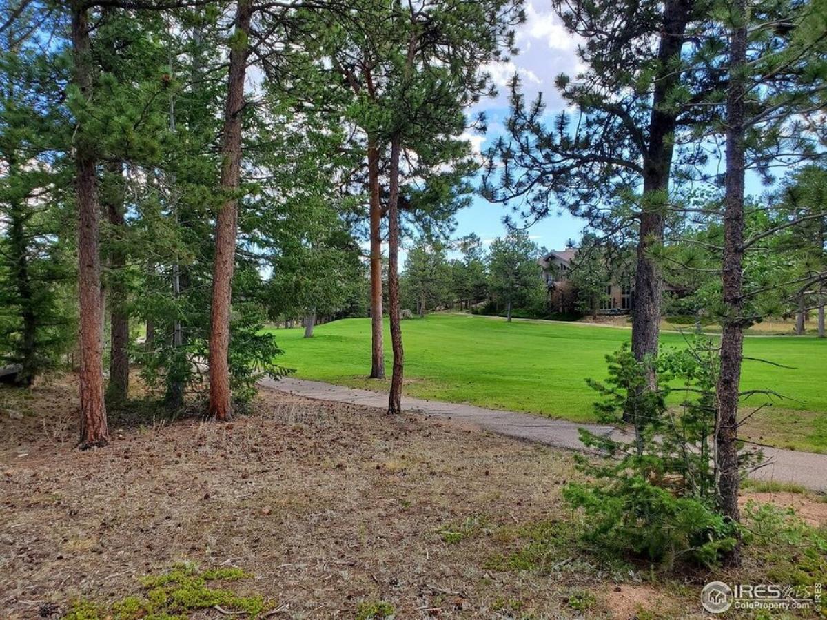 Picture of Residential Land For Sale in Red Feather Lakes, Colorado, United States