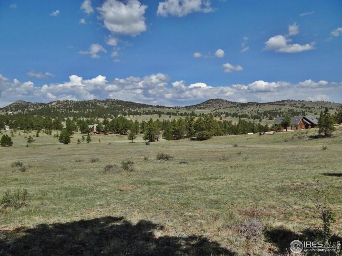 Picture of Residential Land For Sale in Livermore, Colorado, United States