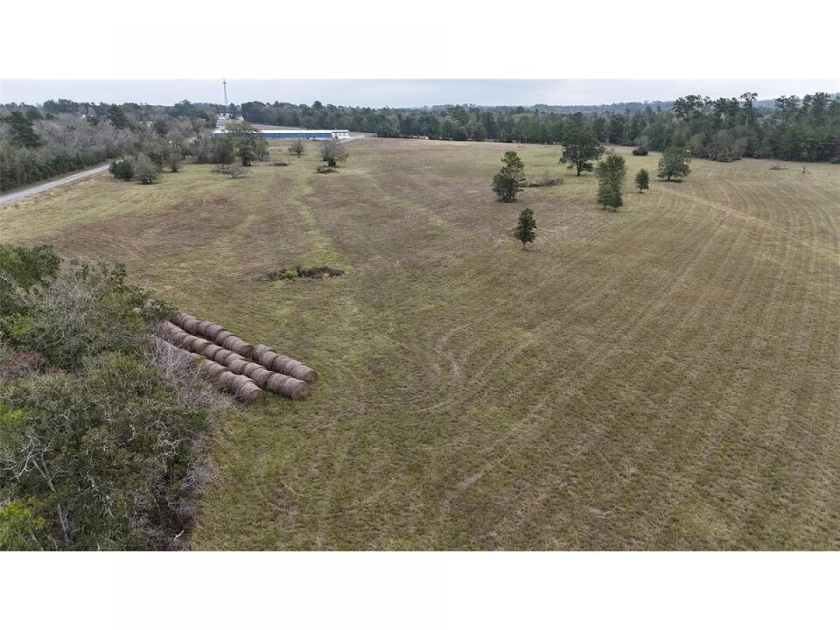 Picture of Residential Land For Sale in Huntsville, Texas, United States