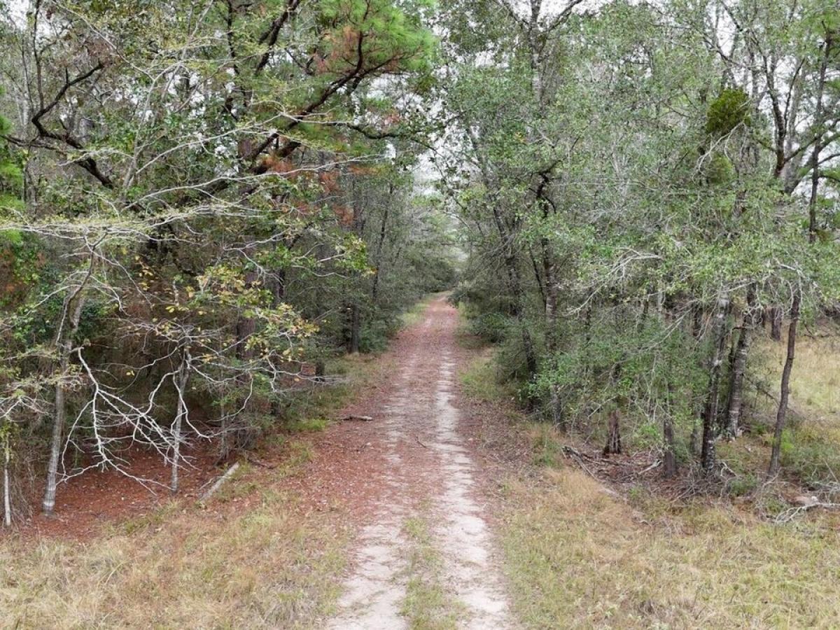 Picture of Residential Land For Sale in Huntsville, Texas, United States