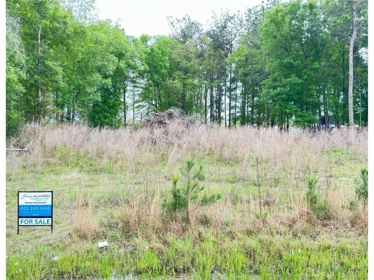 Picture of Home For Sale in Cleveland, Texas, United States