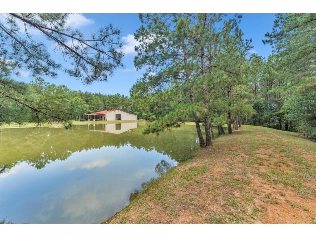 Picture of Home For Sale in New Waverly, Texas, United States