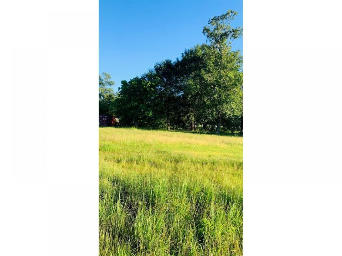 Picture of Residential Land For Sale in Cleveland, Texas, United States